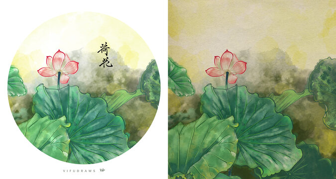 國風(fēng)荷花