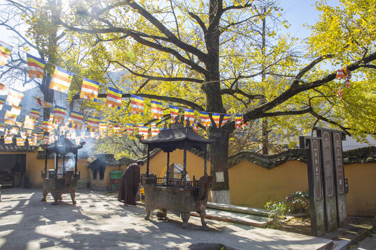 金秋八都岕田園風(fēng)光