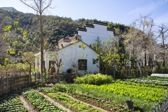 金秋八都岕田園風光