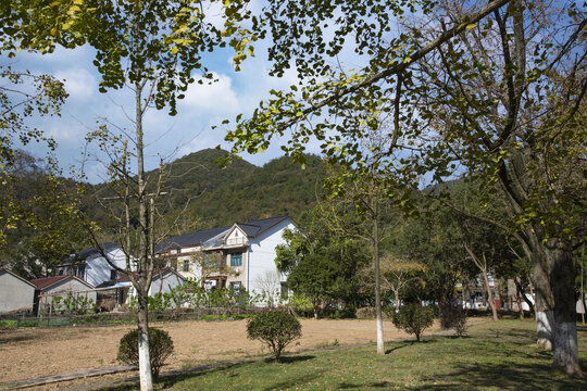 金秋八都岕田園風光