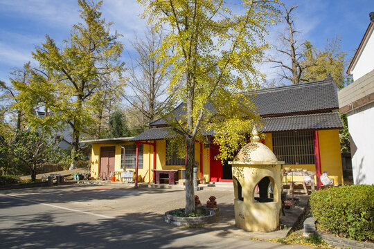 金秋八都岕田園風(fēng)光