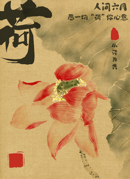 大暑處暑荷花包裝插畫深色版