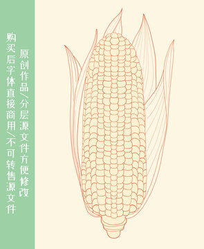 玉米線條插畫