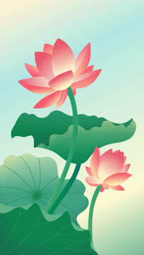 荷花