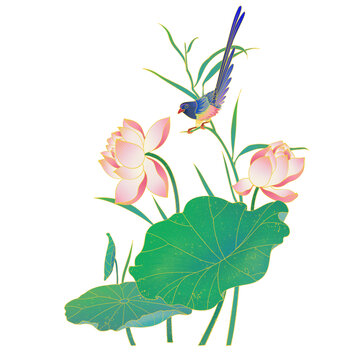 夏日荷花