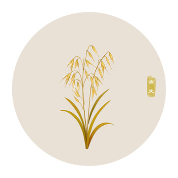 燕麥