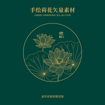 手繪線描荷花蓮花