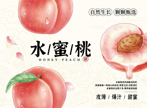 日式風(fēng)水蜜桃包裝設(shè)計