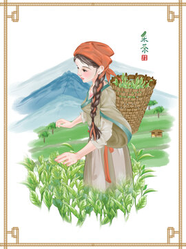 采摘茶葉