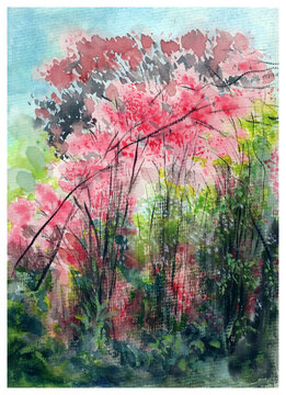 抽象花卉