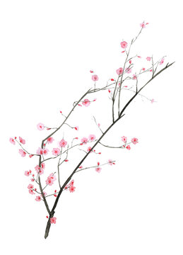 紫葉李花