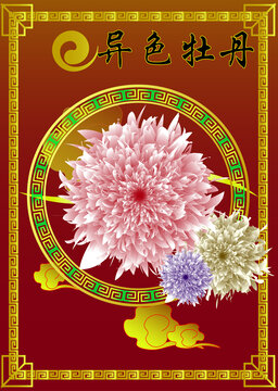 國風(fēng)異色牡丹