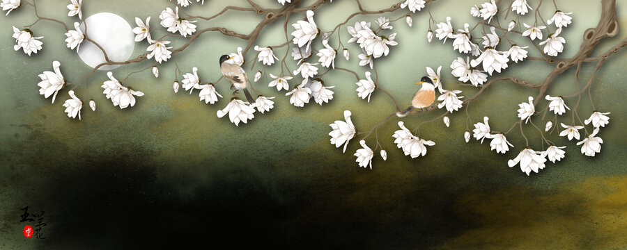 玉蘭花插畫