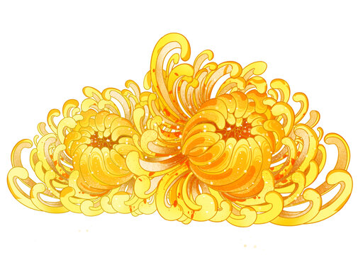 兩朵菊花