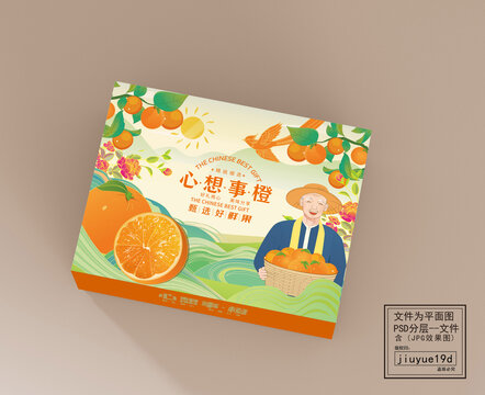 心想事橙手繪橙子禮盒平面圖