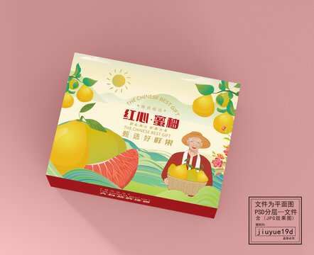 紅心蜜柚手繪柚子禮盒平面圖