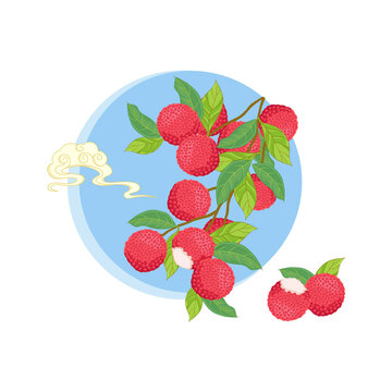 荔枝矢量插畫(huà)