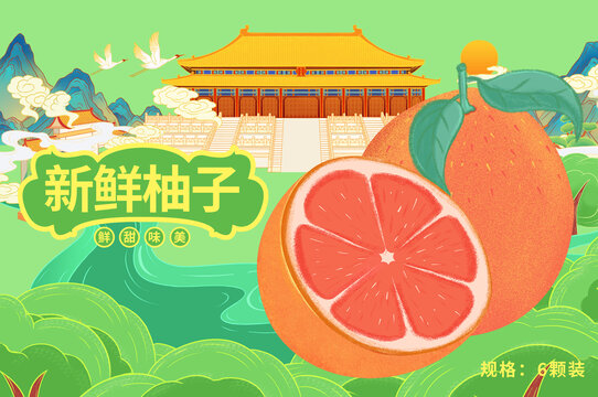 柚子插畫包裝手繪水果新鮮柚子