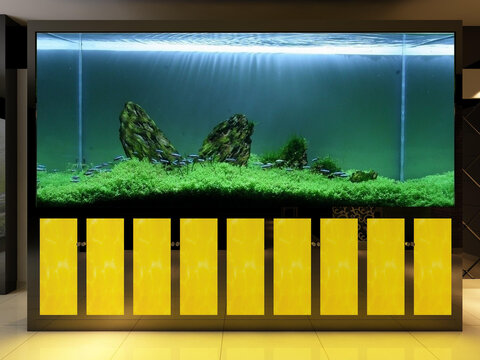 魚缸
