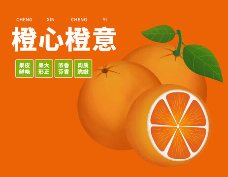 橙子手繪國風(fēng)包裝禮盒插畫
