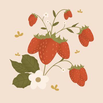 草莓插畫