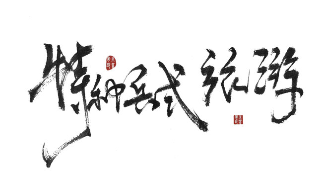特種兵式旅游