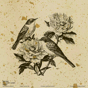 花鳥素描版畫素雅花鳥紋樣文藝