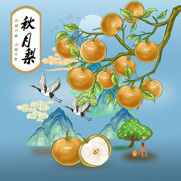 秋月梨包裝設(shè)計(jì)