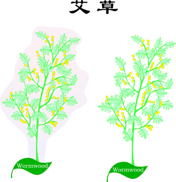 手繪艾草