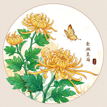 原創(chuàng)手繪水彩風金絲皇菊插畫