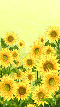 向陽花向日葵
