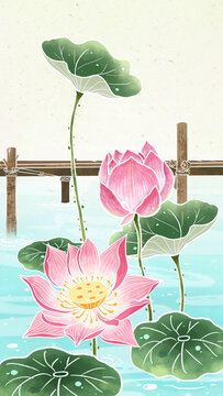 唯美夏荷花池塘