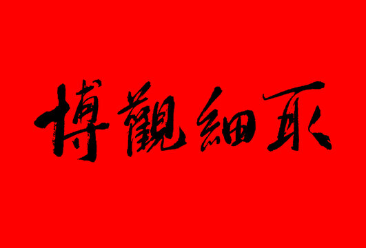 博觀細取