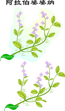 手繪花草