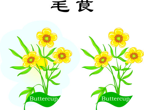 手繪花草