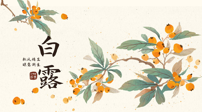 白露中國傳統(tǒng)節(jié)氣枇杷海報(bào)插畫