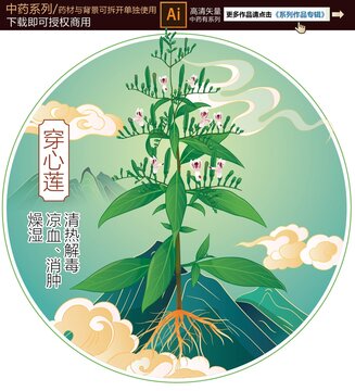 穿心蓮