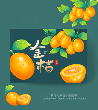 金桔包裝插畫