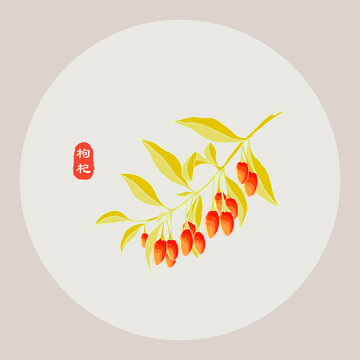 手繪枸杞