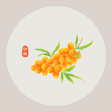 手繪沙棘