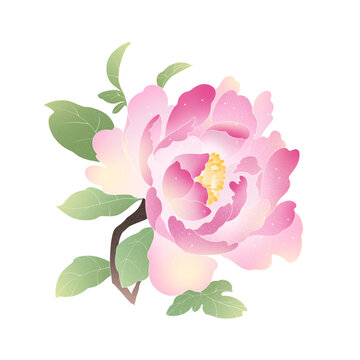 牡丹花元素