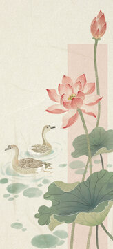 原創(chuàng)國(guó)風(fēng)插畫(huà)荷花
