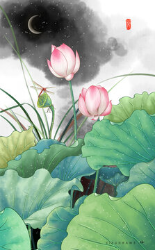 荷花插畫