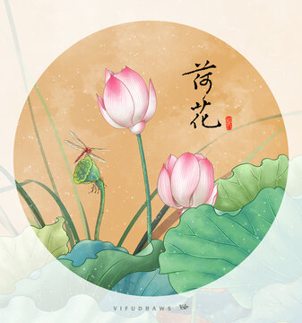 荷花插畫