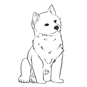 柴犬線稿