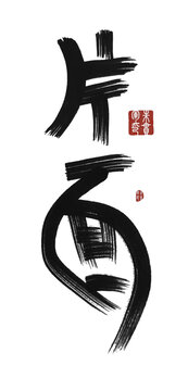 片面