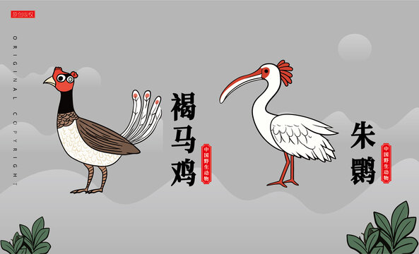 卡通野生動(dòng)物褐馬雞朱鹮矢量手繪