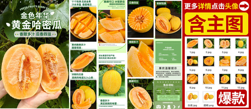 黃金哈密瓜詳情