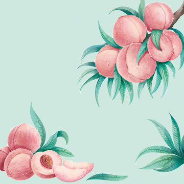 水蜜桃