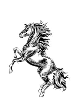 馬